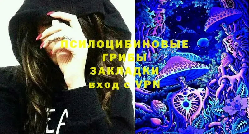 Галлюциногенные грибы Psilocybine cubensis  shop формула  Агрыз 